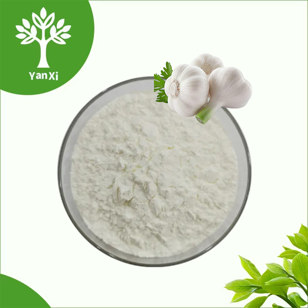 Garlic Extract Powder Garlic Extract Powder